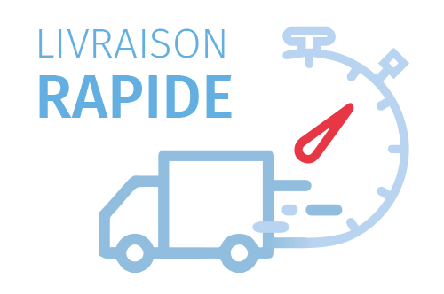 Pictogramme livraison rapide